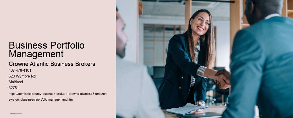 Business Portfolio Management