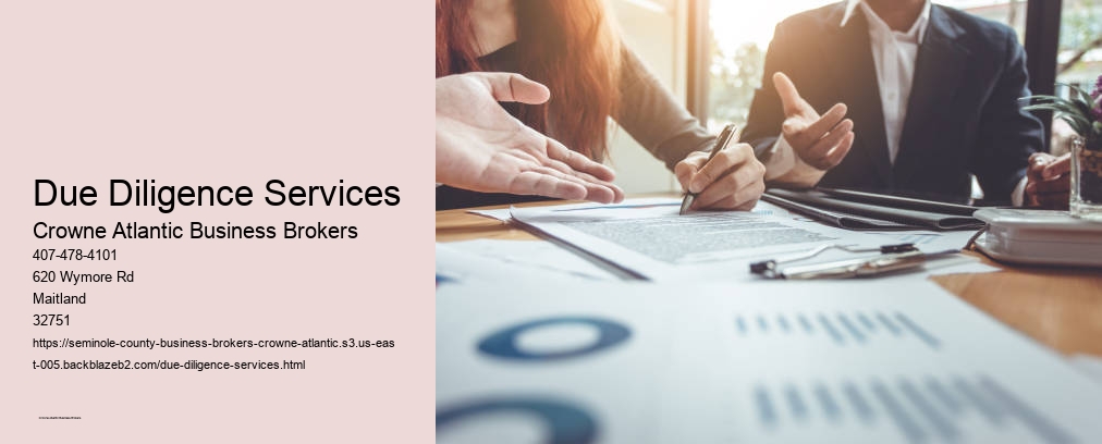 Due Diligence Services