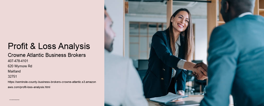 Profit & Loss Analysis